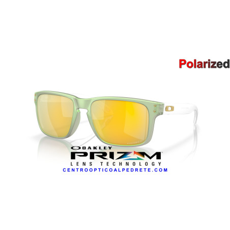 Oakley Holbrook Dark Jade Prizm 24K Polarized (OO9102-Y0) | En Alpedrete