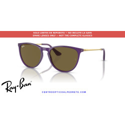 Repuesto original Ray-Ban Junior Erika RJ9060S Dark Brown | Centro Óptico Alpedrete