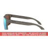 Varillas Woodgrain Icon Gu Oakley Holbrook OO9102-J9V | Centro Óptico 