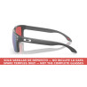 Temples Steel Grey Oakley Holbrook OO9102-U5V | Centro Óptico Alpedret
