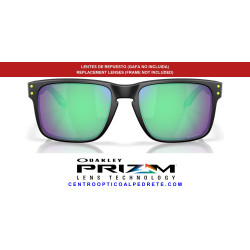 Lentes Prizm Road Jade Oakley Holbrook OO9102-AIL | Centro Óptico Alpedrete