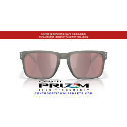 Lentes Prizm Snow Black Iridium Oakley Holbrook | Centro Óptico Alpedrete