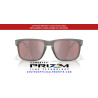Lentes Prizm Snow Black Iridium Oakley Holbrook | Centro Óptico Alpedrete