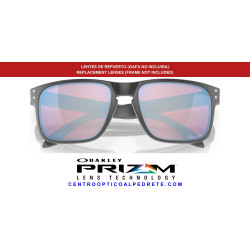 Lenses Prizm Snow Sapphire Oakley Holbrook OO9102-U5L | Centro Óptico Alpedrete