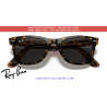 Lentes de repuesto Ray-Ban Wayfarer RB2140 Dark Grey | Centro Óptico Alpedrete