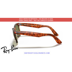 Ray-Ban Wayfarer RB2140 Replacement Bottle Green Lenses | Óptica Alpedrete
