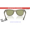 Ray-Ban Wayfarer RB2140 Replacement Bottle Green Polarized Lenses | Óptica Alpedrete