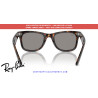 Ray-Ban Wayfarer RB2140 Replacement Grey Lenses | Óptica Alpedrete