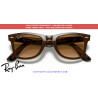 Lentes de repuesto Ray-Ban Wayfarer RB2140 Light Brown Gradient | Centro Óptico Alpedrete