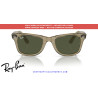 Ray-Ban RB2140 Wayfarer Replacement Temples Photo striped grey | Alpedrete