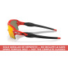 Matte Redline Red Temples Oakley Flak 2.0 XL / XXL | COA