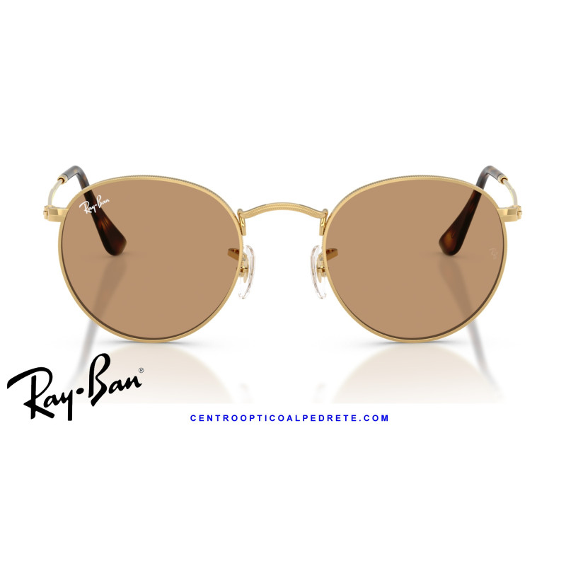 Gafas de sol Ray-Ban Round Metal Arista / Brown | Centro Óptico Alpedrete