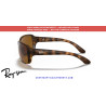 Ray-Ban RB4068 Havana Replacement Temples (642) | Centro Óptico Alpedrete