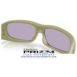 Oakley De Soto Matte Fern OO9494-07 Sunglasses | Centro Óptico Alpedrete