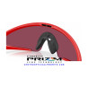 Gafas de Sol Oakley Ellipse Rojo Redline Mate OO9490-04 | COA