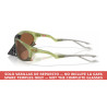 Oakley Plantaris OO9437 Temples Matte Transparent Fern (OO9437-03V) | COA