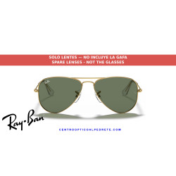 Replacement lenses Ray-Ban RJ9506S 223/71 Dark Green | Alpedrete