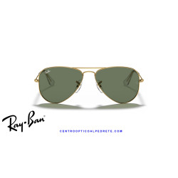 Ray-Ban Junior Aviator Arista Gold Dark Green RJ9506S 223/71 | Alpedrete