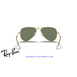 Ray-Ban Junior Aviator Arista Gold Dark Green RJ9506S 223/71 | Alpedrete