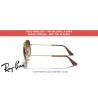 Varillas repuesto Ray-Ban RJ9506S 223 Arista Gold | Alpedrete