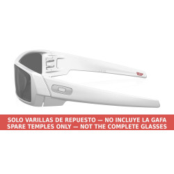 Oakley Gascan OO9014 9014C1 X-Silver Temples | Centro Óptico Alpedrete