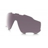 Jawbreaker Lente Prizm Daily Polarized (101-111-001)
