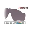 Jawbreaker Lente Prizm Daily Polarized (101-111-001)