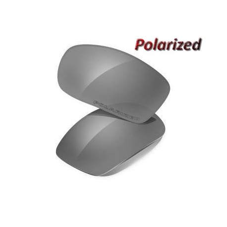 Fives Squared /3.0 Lente Grey Polarized (16-430)