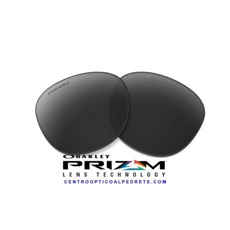 Holbrook lens Black Iridium (9102 - 24L)