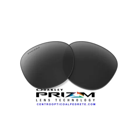 Holbrook lens Black Iridium (9102 - 24L)