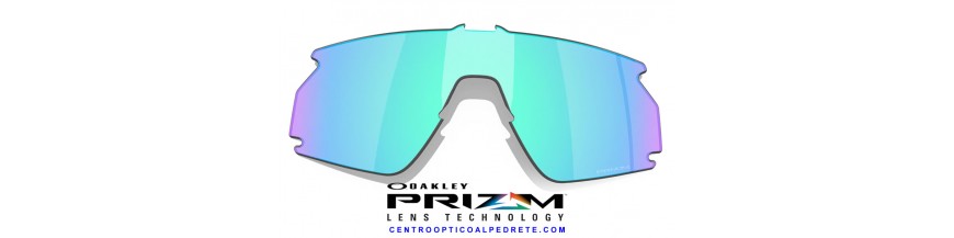 Oakley Bxtr / Bxtr Metal Replacement Lenses