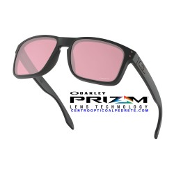Oakley Holbrook Matte Black / Prizm Dark Golf (OO9102-K0)