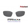 Whisker Lente Prizm Black Polarized (OO4141-03L)