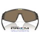 Latch Panel Grey Smoke / Prizm 24K (OO9404-05)