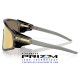 Latch Panel Grey Smoke / Prizm 24K (OO9404-05)