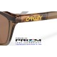 Frogskins Range Brown Tortoise- Smoke / Prizm Tungsten Polarized (OO9013-07)
