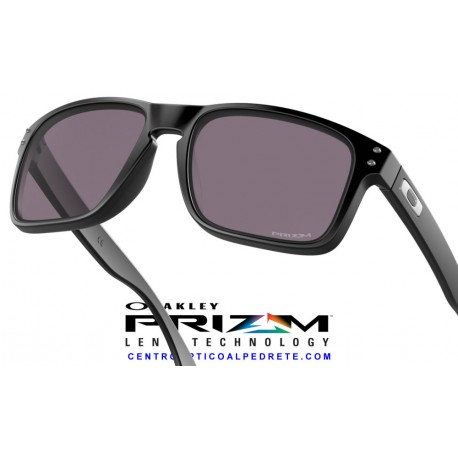 Holbrook Matte Black / Prizm Grey (OO9102-E8)