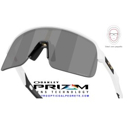 Oakley Sutro Lite S Matte White / Prizm Black (OO9496-13)