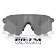 Oakley Stunt Devil Grey Smoke / Prizm Black (OO9517-01)