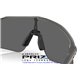 Oakley Stunt Devil Grey Smoke / Prizm Black (OO9517-01)
