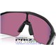 Oakley Stunt Devil Matte Black / Prizm Road (OO9517-02)