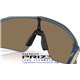 Oakley Stunt Devil Matte Transparent Abyss / Prizm 24k (OO9517-05)