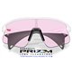 Oakley Stunt Devil Matte White / Prizm Low Light (OO9517-07)