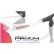 Oakley Stunt Devil Matte Clear / Prizm Field (OO9517-10)