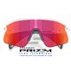 Oakley Stunt Devil Matte Clear / Prizm Field (OO9517-10)