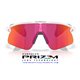 Oakley Stunt Devil Matte Clear / Prizm Field (OO9517-10)