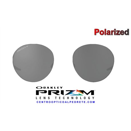 Oakley Terrigal Prizm Black Polarized Replacement Lenses (OO4146-04L)