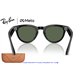 Ray-Ban Meta Headliner Shinny Black / G-15 Green (RW4013-601/71)