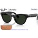 Ray-Ban Meta Skyler Black Shiny / Clear-Graphite Green Transitions (RW4014-601/1M)