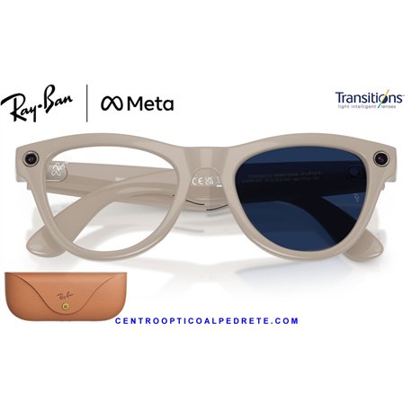 Ray-Ban Meta Skyler Chalky Grey / Clear-Sapphire Transitions (RW4014-6700MF)